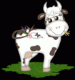 /album/galerie-de-photos-les-vaches/xmiduzpe-1-gif/